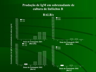 0 1 10 0 1 10
0
1000
2000
3000
4000
5000
6000
7000
8000
9000
10000
11000
12000
13000
14000
15000
LPS
Meio
Dose do Conjugado 3501
(Mat alfa)
0 1 10 0 1 10
0
1000
2000
3000
4000
5000
6000
7000
8000
9000
10000
11000
12000
13000
14000
15000
LPS
Meio
Dose do Conjugado 3502
(Mat a)
0 1 10 0 1 10
0
1000
2000
3000
4000
5000
6000
7000
8000
9000
10000
11000
12000
13000
14000
15000
DEX
Meio
Dose do Conjugado 3501
(Mat alfa)
0 1 10 0 1 10
0
1000
2000
3000
4000
5000
6000
7000
8000
9000
10000
11000
12000
13000
14000
15000
DEX
Meio
Dose do Conjugado 3502
(Mat a)
ConcentraçãodeIgMnosobrenadantedecultura(ng/ml)
Produção de IgM em sobrenadante de
cultura de linfócitos B
BALB/c
 