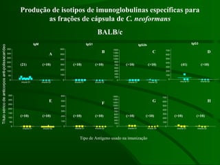 Produção de isotipos de imunoglobulinas específicas para
as frações de cápsula de C. neoformans
BALB/c
imune 01 imune 02
0
50
100
150
200
250
300
350
imune 01 imune 02
0
100
200
300
400
500
600
imune 01 imune 02
0
150
300
450
600
750
900
1050
1200
1350
1500
imune 01 imune 02
0
100
200
300
400
500
600
700
IgM
imune 01 imune 02
0
50
100
150
200
250
300
350
IgG1
imune 01 imune 02
0
100
200
300
400
500
600
IgG2b
imune 01 imune 02
0
150
300
450
600
750
900
1050
1200
1350
1500
IgG3
imune 01 imune 02
0
100
200
300
400
500
600
700
Títuloséricodeanticorposanti-polissacarídeo
A
B C D
E
F
G H
Tipo de Antígeno usado na imunização
(21) (>10) (>10) (>10) (>10) (>10) (>10)
(>10)(>10)(>10)(>10)(>10)(>10)(>10)(>10)
(41)
 