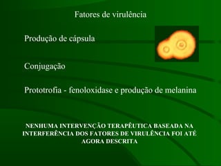 Fatores de virulência
NENHUMA INTERVENÇÃO TERAPÊUTICA BASEADA NA
INTERFERÊNCIA DOS FATORES DE VIRULÊNCIA FOI ATÉ
AGORA DESCRITA
Produção de cápsula
Prototrofia - fenoloxidase e produção de melanina
Conjugação
 