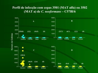 C D
A B
(0)(2,3)(0,4)(0,6)
(0)(2,2)(0,7)(23,7)(220,8) (3,2) (10,5) (0)
(1814)
(46,9) (2,4) (0)
Perfil de infecção com cepas 3501 (MAT alfa) ou 3502
(MAT a) de C. neoformans – C57Bl/6
Cérebro Pulmão Baço Sangue
0
1000
2000
3000
4000
5000
Cérebro Pulmão Baço Sangue
0
1000
2000
3000
4000
5000
Cérebro Pulmão Baço Sangue
0
1000
2000
3000
4000
5000
Cérebro Pulmão Baço Sangue
0
1000
2000
3000
4000
5000
NúmerodeColônias
 