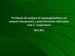 Produção de isotipos de imunoglobulinas em
animais imunizados e posteriormente infectados
com C. neoformans
BALB/c
 
