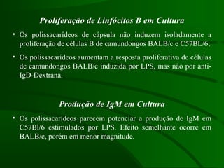 Proliferação de Linfócitos B em Cultura
• Os polissacarídeos de cápsula não induzem isoladamente a
proliferação de células B de camundongos BALB/c e C57BL/6;
• Os polissacarídeos aumentam a resposta proliferativa de células
de camundongos BALB/c induzida por LPS, mas não por anti-
IgD-Dextrana.
Produção de IgM em Cultura
• Os polissacarídeos parecem potenciar a produção de IgM em
C57Bl/6 estimulados por LPS. Efeito semelhante ocorre em
BALB/c, porém em menor magnitude.
 