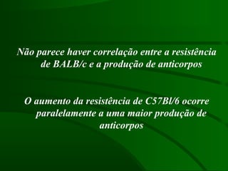 Não parece haver correlação entre a resistência
de BALB/c e a produção de anticorpos
O aumento da resistência de C57Bl/6 ocorre
paralelamente a uma maior produção de
anticorpos
 