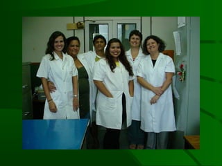 C neoformans e linfócitos B