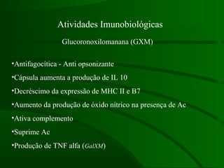 Atividades Imunobiológicas
Glucoronoxilomanana (GXM)
•Antifagocítica - Anti opsonizante
•Cápsula aumenta a produção de IL 10
•Decréscimo da expressão de MHC II e B7
•Aumento da produção de óxido nítrico na presença de Ac
•Ativa complemento
•Suprime Ac
•Produção de TNF alfa (GalXM)
 