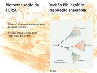 Desenvolvimento do sequenciamento 
do código genético 
Distinção mais profunda entre 
eucariotos e procariotos
Fonte:  
 