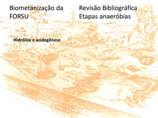 Hidrólise e acidogênese
 