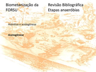 Hidrólise e acidogênese
Acetogênese
 
