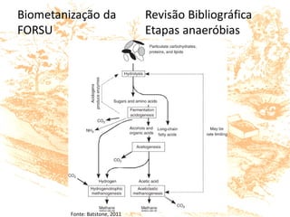 Fonte: Batstone, 2011
 