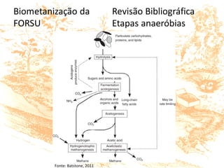 Fonte: Batstone, 2011
 