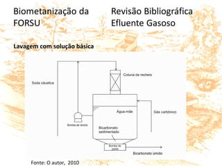 Lavagem com solução básica
Fonte: O autor, 2010
 