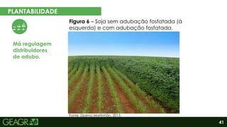 41
PLANTABILIDADE
Má regulagem
distribuidores
de adubo.
Fonte: Djalma Martinhão, 2015.
Figura 6 – Soja sem adubação fosfatada (à
esquerda) e com adubação fosfatada.
 