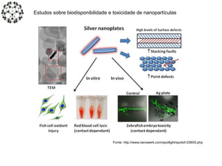 Estudos sobre biodisponibilidade e toxicidade de nanopartículas
Fonte: http://www.nanowerk.com/spotlight/spotid=25655.php
 