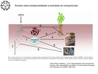 Estudos sobre biodisponibilidade e toxicidade de nanopartículas
Fonte: Klaine, Stephen J., et al. "Nanomaterials in the environment:
behavior, fate, bioavailability, and effects." Environmental Toxicology
and Chemistry 27.9 (2008): 1825-1851.
 