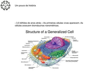 Um pouco de história
- 3,5 bilhões de anos atrás – As primeiras células vivas aparecem. As
células possuem biomáquinas nanométricas.
 