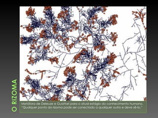 Metáfora de Deleuze e Guattari para o atual estágio do conhecimento humano. “ Qualquer ponto do rizoma pode ser conectado a qualquer outro e deve sê-lo.” 