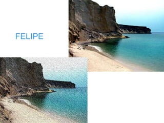 FELIPE 