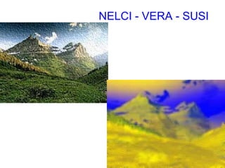 NELCI - VERA - SUSI 