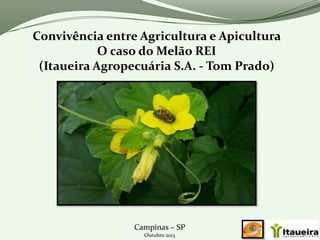 Convivência entre Agricultura e Apicultura
O caso do Melão REI
(Itaueira Agropecuária S.A. - Tom Prado)

Campinas – SP
Outubro 2013

 