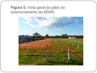 Figura 5. Vista geral do pátio do
estacionamento da AEMS.
 