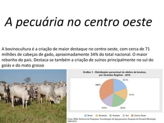 A pecuária no centro oeste
A bovinocultura é a criação de maior destaque no centro oeste, com cerca de 71
milhões de cabeças de gado, aproximadamente 34% do total nacional. O maior
rebanho do pais. Destaca-se também a criação de suínos principalmente no sul do
goiás e do mato grosso
 