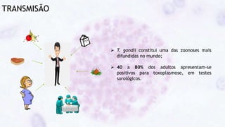 TRANSMISÃO
 T. gondii constitui uma das zoonoses mais
difundidas no mundo;
 40 a 80% dos adultos apresentam-se
positivos para toxoplasmose, em testes
sorológicos.
 