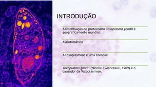 INTRODUÇÃO
A Distribuição do protozoário Toxoplasma gondii é
geograficamente mundial.
Assintomático
A toxoplasmose é uma zoonose
Toxoplasma gondii (Nicolle e Manceaux, 1909) é o
causador da Toxoplasmose.
 