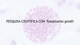 PESQUISA CIENTÍFICA COM Toxoplasma gondii
 