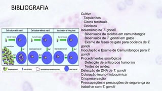 BIBLIOGRAFIA
Cultivo
Taquizoítos
Cistos teciduais
Oocistos
Isolamento de T. gondii
Bioensaios de tecidos em camundongos
Bioensaios de T. gondii em gatos
Exame de fezes de gato para oocistos de T.
gondii
Inoculação e Exame de Camundongos para T.
gondii
Procedimentos sorológicos
Detecção de anticorpos humorais
Testes de avidez
Detecção de DNA de T. gondii
Coloração imuno-histoquímica
Criopreservação
Preocupações e precauções de segurança ao
trabalhar com T. gondii
 