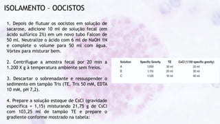 ISOLAMENTO – OOCISTOS
1. Depois de flutuar os oocistos em solução de
sacarose, adicione 10 ml de solução fecal (em
ácido sulfúrico 2%) em um novo tubo Falcon de
50 ml. Neutralize o ácido com 6 ml de NaOH 1N
e complete o volume para 50 ml com água.
Vórtex para misturar bem.
2. Centrifugue a amostra fecal por 20 min a
1.200 X g à temperatura ambiente sem freios.
3. Descartar o sobrenadante e ressuspender o
sedimento em tampão Tris (TE, Tris 50 mM, EDTA
10 mM, pH 7,2).
4. Prepare a solução estoque de CsCl (gravidade
específica = 1,15) misturando 21,75 g de CsCl
com 103,25 ml de tampão TE e prepare o
gradiente conforme mostrado na tabela:
 