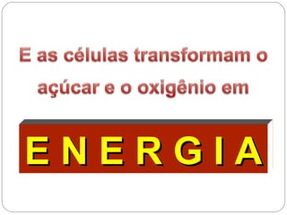 E N E R G I AE N E R G I A
 