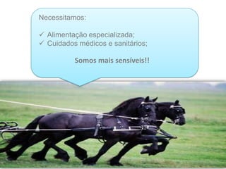 Necessitamos:
 Alimentação especializada;
 Cuidados médicos e sanitários;
Somos mais sensíveis!!
 