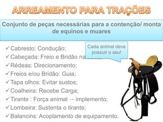 Cabresto: Condução;
Cabeçada: Freio e Bridão na boca;
Rédeas: Direcionamento;
Freios e/ou Bridão: Guia;
Tapa olhos: Evitar sustos;
Coalheira: Recebe Carga;
Tirante : Força animal implemento;
Lombeira: Sustenta o tirante;
Balancins: Acoplamento de equipamento.
Conjunto de peças necessárias para a contenção/ monta
de equinos e muares
Cada animal deve
possuir o seu!
 