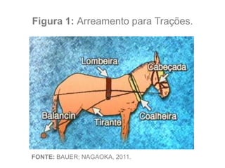 Figura 1: Arreamento para Trações.
FONTE: BAUER; NAGAOKA, 2011.
 