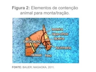 Figura 2: Elementos de contenção
animal para monta/tração.
FONTE: BAUER; NAGAOKA, 2011.
 