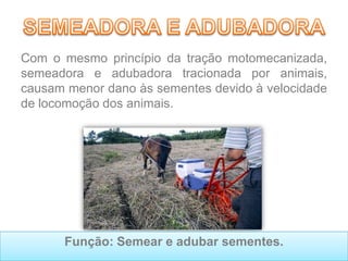 Com o mesmo princípio da tração motomecanizada,
semeadora e adubadora tracionada por animais,
causam menor dano às sementes devido à velocidade
de locomoção dos animais.
Função: Semear e adubar sementes.
 