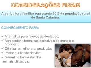  Alternativa para relevos acidentados;
 Apresentar alternativas acessíveis de manejo e
produção;
 Otimizar e melhorar a produção;
 Maior qualidade de vida;
 Garantir o bem-estar dos
animais utilizados.
A agricultura familiar representa 90% da população rural
de Santa Catarina.
 