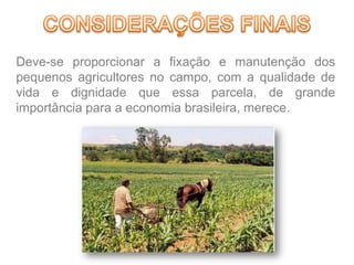Deve-se proporcionar a fixação e manutenção dos
pequenos agricultores no campo, com a qualidade de
vida e dignidade que essa parcela, de grande
importância para a economia brasileira, merece.
 