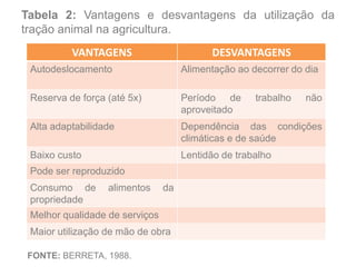 Tabela 2: Vantagens e desvantagens da utilização da
tração animal na agricultura.
VANTAGENS DESVANTAGENS
Autodeslocamento Alimentação ao decorrer do dia
Reserva de força (até 5x) Período de trabalho não
aproveitado
Alta adaptabilidade Dependência das condições
climáticas e de saúde
Baixo custo Lentidão de trabalho
Pode ser reproduzido
Consumo de alimentos da
propriedade
Melhor qualidade de serviços
Maior utilização de mão de obra
FONTE: BERRETA, 1988.
 