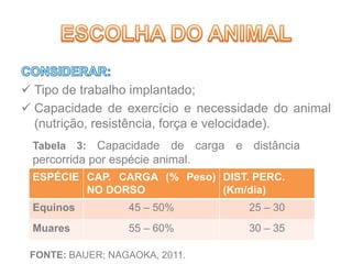  Tipo de trabalho implantado;
 Capacidade de exercício e necessidade do animal
(nutrição, resistência, força e velocidade).
ESPÉCIE CAP. CARGA (% Peso)
NO DORSO
DIST. PERC.
(Km/dia)
Equinos 45 – 50% 25 – 30
Muares 55 – 60% 30 – 35
Tabela 3: Capacidade de carga e distância
percorrida por espécie animal.
FONTE: BAUER; NAGAOKA, 2011.
 