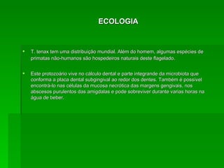 ECOLOGIA T. tenax tem uma distribuição mundial. Além do homem, algumas espécies de primatas não-humanos são hospedeiros naturais deste flagelado . Este protozoário vive no cálculo dental e parte integrande da microbiota que conforma a placa dental subgingival ao redor dos dentes. Também é possível encontrá-lo nas células da mucosa necrótica das margens gengivais, nos abscesos purulentos das amigdalas e pode sobreviver durante varias horas na água de beber. 
