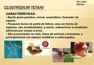 Por Lilian
Martins
CLOSTRIDIUM TETANI
• Bacilo gram-positivo, móvel, anaeróbico, formador de
esporo.
• Possuem forma de palito de fóforo, mas em forma de
esporos, são arredondados, e assim, sobrevivem a condições
adversas por meses à anos.
• São encontrados no solo, fezes de animais e humanos, e
principalmente em objetos metálicos e enferrujados.
3
 