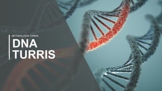 5
DNA
TURRIS
METODOLOGIA TURRIS
 