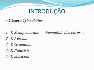 INTRODUÇÃO
 Gênero Tylenchulus:

1- T. Semipenetrans - Nematóide dos citros ;
2- T. Furcus;
3- T. Graminis;
4- T. Palustris;
5- T. musicola

 