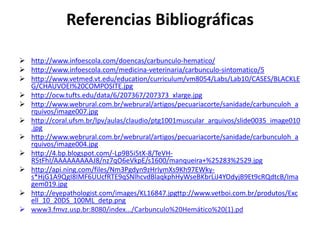 Referencias Bibliográficas
 http://www.infoescola.com/doencas/carbunculo-hematico/
 http://www.infoescola.com/medicina-veterinaria/carbunculo-sintomatico/5
 http://www.vetmed.vt.edu/education/curriculum/vm8054/Labs/Lab10/CASES/BLACKLE
G/CHAUVOEI%20COMPOSITE.jpg
 http://ocw.tufts.edu/data/6/207367/207373_xlarge.jpg
 http://www.webrural.com.br/webrural/artigos/pecuariacorte/sanidade/carbunculoh_a
rquivos/image007.jpg
 http://coral.ufsm.br/lpv/aulas/claudio/ptg1001muscular_arquivos/slide0035_image010
.jpg
 http://www.webrural.com.br/webrural/artigos/pecuariacorte/sanidade/carbunculoh_a
rquivos/image004.jpg
 http://4.bp.blogspot.com/-Lp9B5i5tX-8/TeVHR5tFhI/AAAAAAAAAJ8/nz7qO6eVkpE/s1600/manqueira+%25283%2529.jpg
 http://api.ning.com/files/Nm3Pgdyn9zHrIymXs9Kh97EWkys*HjG1A9QgI8IMF6UUcfRTE9qSNlhcvdBlaqkphHyWseBKbrLiJ4YOdyjB9Et9cRQdtcB/Ima
gem019.jpg
 http://eyepathologist.com/images/KL16847.jpgttp://www.vetboi.com.br/produtos/Exc
ell_10_20DS_100ML_detp.png
 www3.fmvz.usp.br:8080/index.../Carbunculo%20Hemático%20(1).pd

 