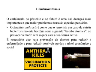 Conclusões finais
O carbúnculo no presente e no futuro é uma das doenças mais
importantes e que maior problemas causa ás espécies pecuárias.
• O Bacillus anthracis é como que o terrorista em caso de existir
bioterrorismo esta bactéria seria a grande “bomba atómica”, ao
provocar a morte sem sequer usar a sua forma activa
É necessário que haja prevenção da doença para reduzir a
enfermidade e para reduzir possíveis perdas a nível económico e
social

 