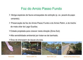 Foz do Arroio Passo Fundo
 Abriga espécies de fauna ameaçadas de extinção (p. ex. jacaré-do-papo
-amarelo);
 Preservação da foz do Arroio Passo Fundo e do Arroio Petim, e do trecho
de mata ciliar do Lago Guaíba;
Cidade projetada para crescer nesta direção (Zona Sul);
Alta sensibilidade ambiental por tratar-se de banhado;
Área de drenagem de águas pluviais.
 
