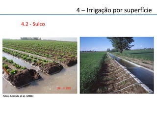 4.2 - Sulco
Fotos: Andrade et al, (2006)
4 – Irrigação por superfície
 