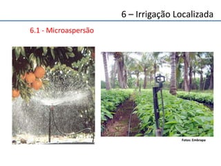 6 – Irrigação Localizada
6.1 - Microaspersão
Fotos: Embrapa
 