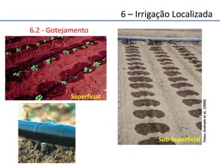 6.2 - Gotejamento
Superficial
Sub-Superficial
Fotos:Andradeetal,(2006)
6 – Irrigação Localizada
 